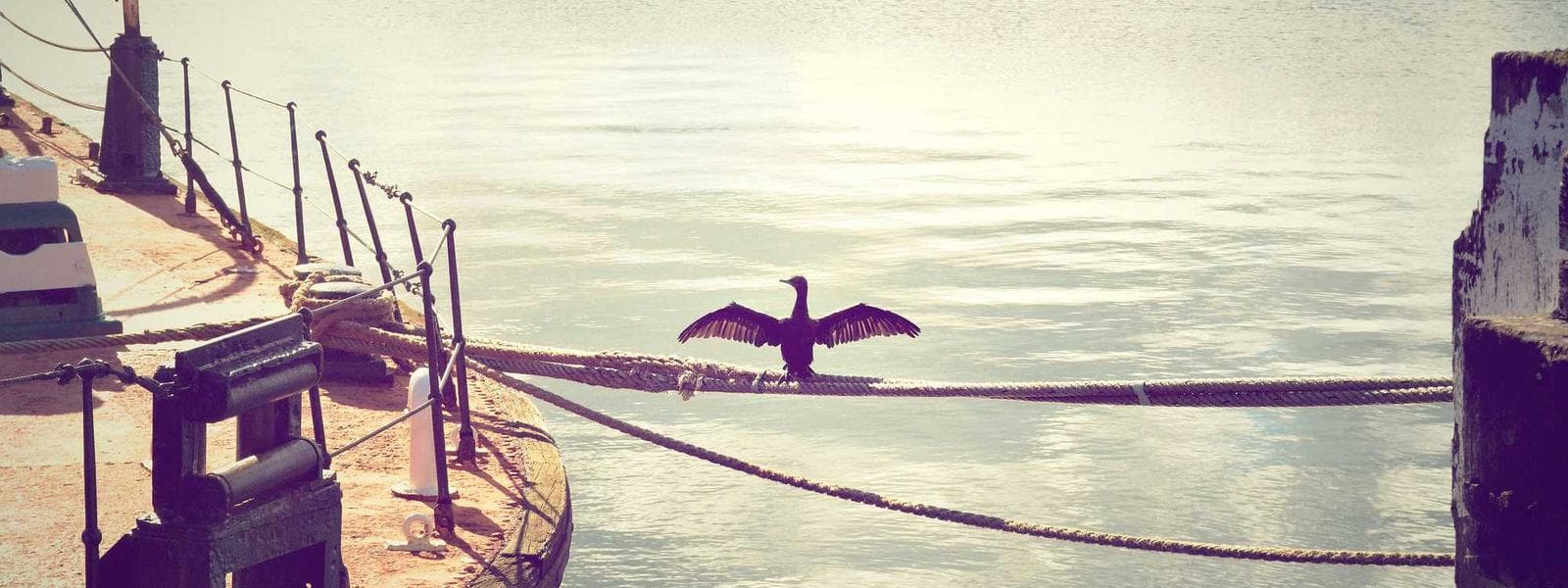 Yemin Moshe Stone Cottage backdrop