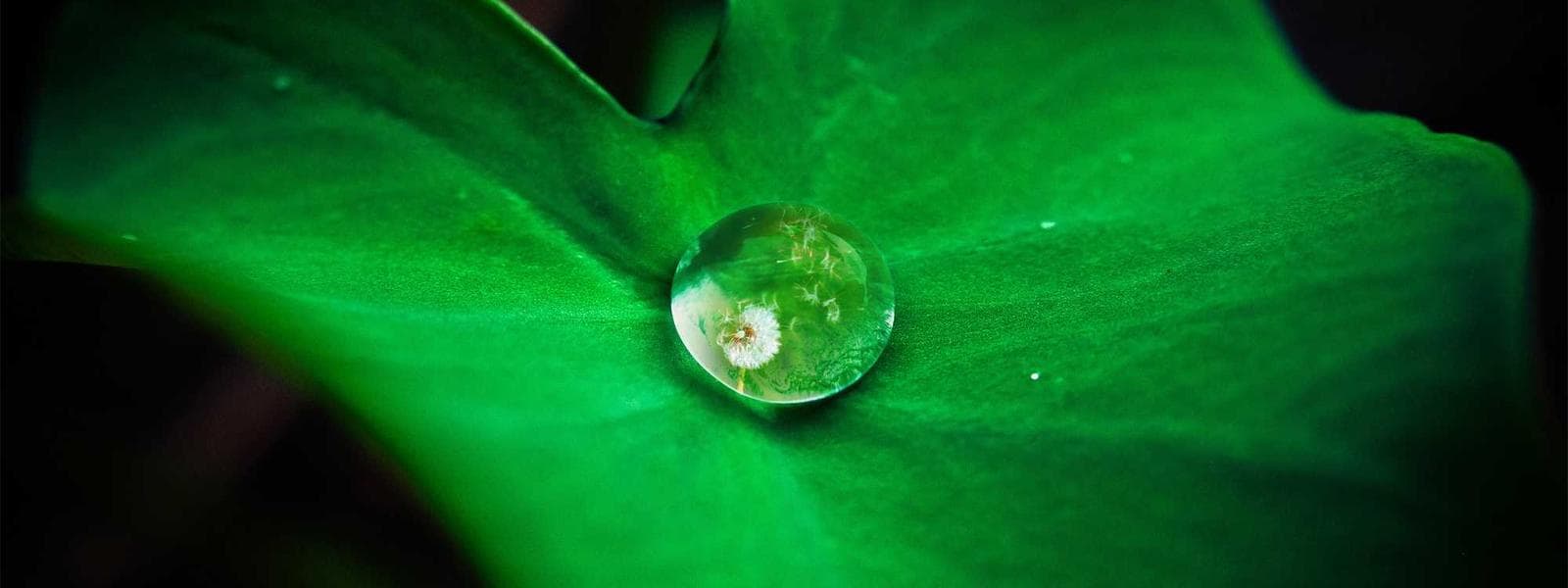 City Center Penthouse Retreat backdrop